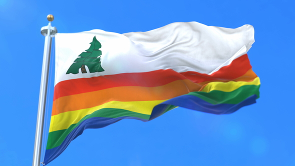 Flag of Santa Cruz County Motion Graphics VideoHive